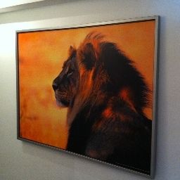  art Hotel Körschen Fotos