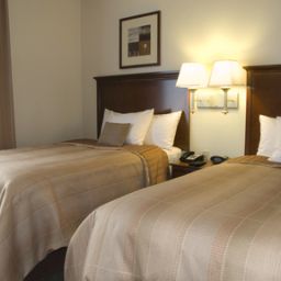 Suite Candlewood Suites SPRINGFIELD SOUTH Fotos
