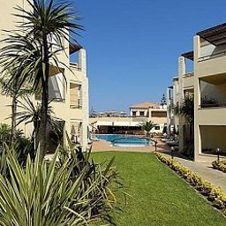  Creta Palm Fotos