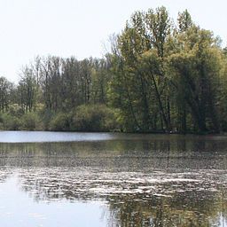Vista Lüthemühle Fotos