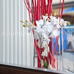 Интерьер City Aparthotel Fotos