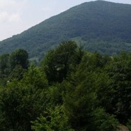 View Hodak Fotos