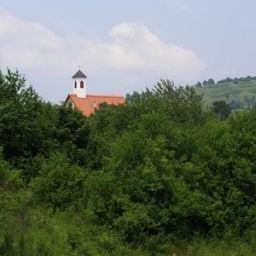 View Hodak Fotos