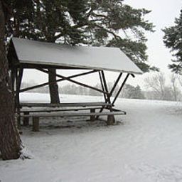 Thüringer Waldblick Fotos