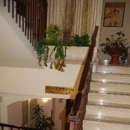  Domus Carmelitana S. Alberto Religious Guest House Fotos