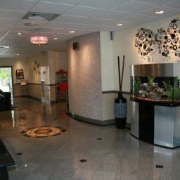 Hall BEST WESTERN Bonita Springs Hotel & Suites Fotos