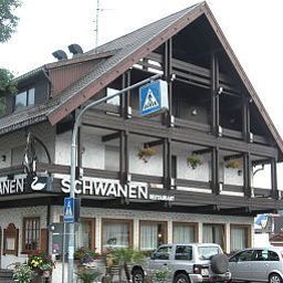 View Schwanen Fotos