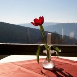 Terrasse Zum weissen Lamm Fotos