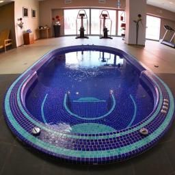 Obszar spa Radisson Blu Hotel Toulouse Airport Fotos
