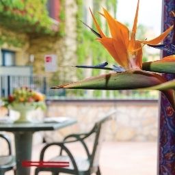 Zimmer mit Terrasse Caesar Palace Fotos