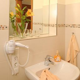 Badezimmer Banzer Wald Berggasthof Fotos