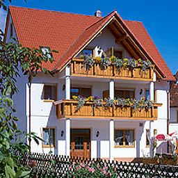 Brauner Hirsch Alfeld