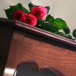  Kossak Fotos