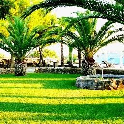Сад Villa Elisabetta Fotos