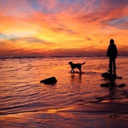 Umgebung Strandhaus Mönchgut Fotos