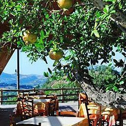 Terrace Poggio Duca Agriturismo Fotos