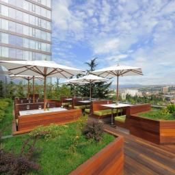  Tbilisi Radisson Blu Iveria Hotel Fotos