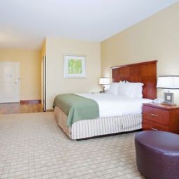 Zimmer Holiday Inn Express Hotel & Suites DENVER AIRPORT Fotos