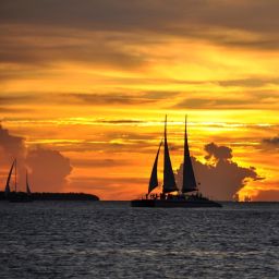 The Reach A Waldorf Astoria Resort Key West