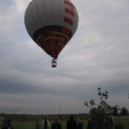  Piaskowy Fotos
