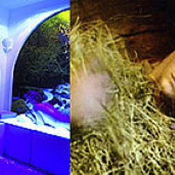 Zona Wellness Relais Bon homme Fotos