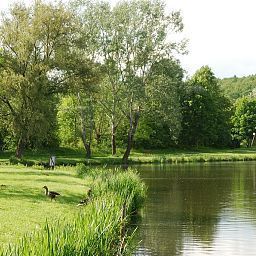 Surroundings Am Steinertsee Fotos