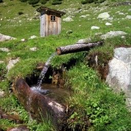  Kulinarik Hotel Alpin Fotos