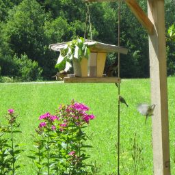 Jardín Kraftquelle Schlossblick Fotos