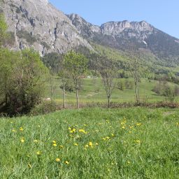 Entorno Kraftquelle Schlossblick Fotos