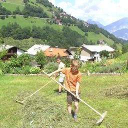  Bauernhof Lex - Urlaub am Bauernhof Fotos