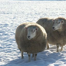  Bauernhof Naturidyll AlmenLandhof Fotos