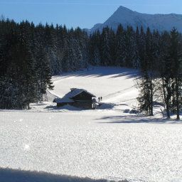  Bauernhof Biobauernhof Grundlehner Fotos
