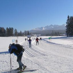  Bauernhof Biobauernhof Grundlehner Fotos