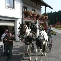  Narnhoferwirt Gasthof Fotos
