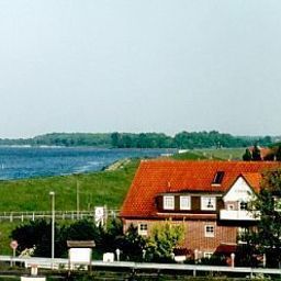 Elbblick Jork Borstel
