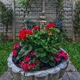 Garden Romantik Fotos