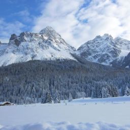  Alpspitz Pension-Ferienwohnungen Fotos