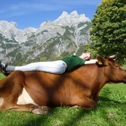  Bauernhof Vorderfromm Fotos