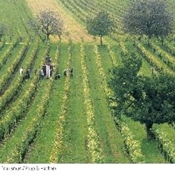  Müllner Fotos