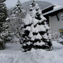  Jägerheim Pension Fotos