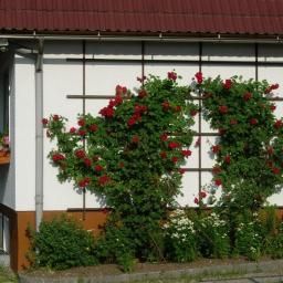  Jägerheim Pension Fotos