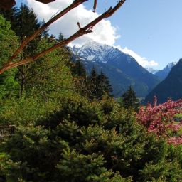Luxus Chalet Mühlermoos Hütte Ramsau im Zillertal