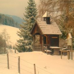  Bauernhof Holmbauer Fotos