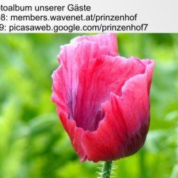  Bauernhof Bio- & Gesundheitsbauernhof PRINZENHOF Fotos