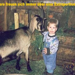  Bauernhof Fantastischer Bodensee-Blick vom Mühlenhof/Sohler Fotos