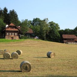  Bauernhof Gaisrieglhof Fotos