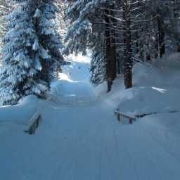  Panoramahütten Sonderdach Hütte Fotos