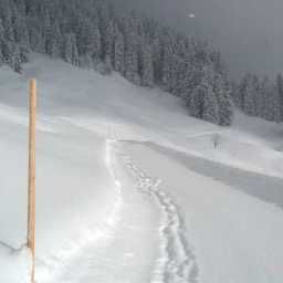  Panoramahütten Sonderdach Hütte Fotos