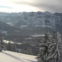  Panoramahütten Sonderdach Hütte Fotos