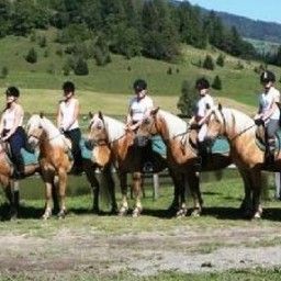  Familienurlaub Reiterhof Zum Hammerschmied Gasthof Fotos